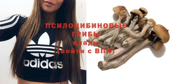 ALPHA-PVP Алексеевка