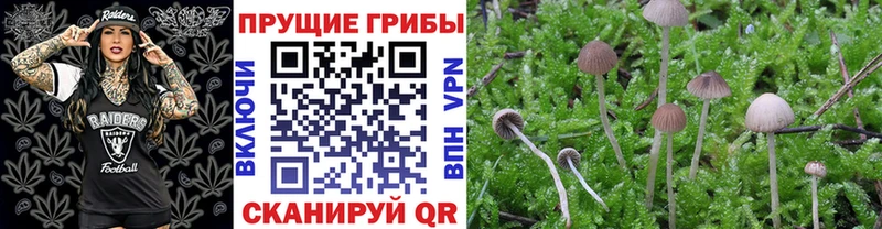 Галлюциногенные грибы мухоморы  Нижний Ломов 